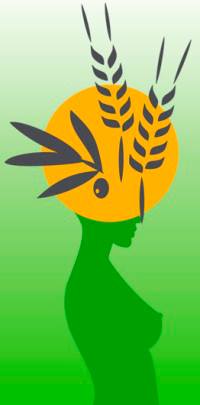 448510190_3769869906559685_2275017355801710751_n